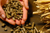 free Low Green biomass boiler quotes